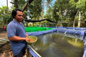 KUR BRI mendukung pengembangan usaha pembibitan lele di Bali melalui tambahan modal kerja untuk meningkatkan kapasitas produksi _ BHI-IST